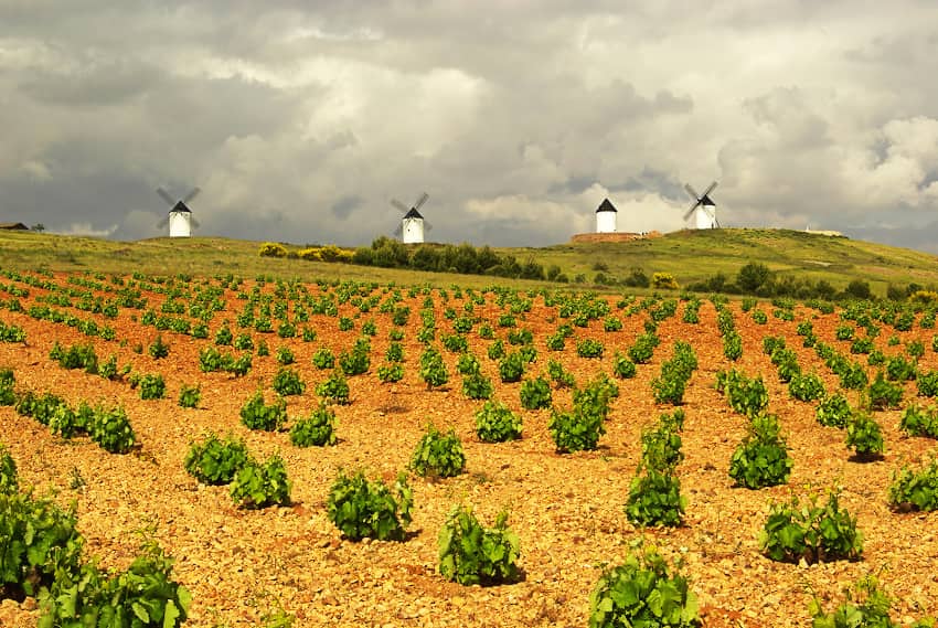 WHAT IS THE SOIL ASSOCIATION AND WHAT DOES ITS CERTIFICATION MEAN?