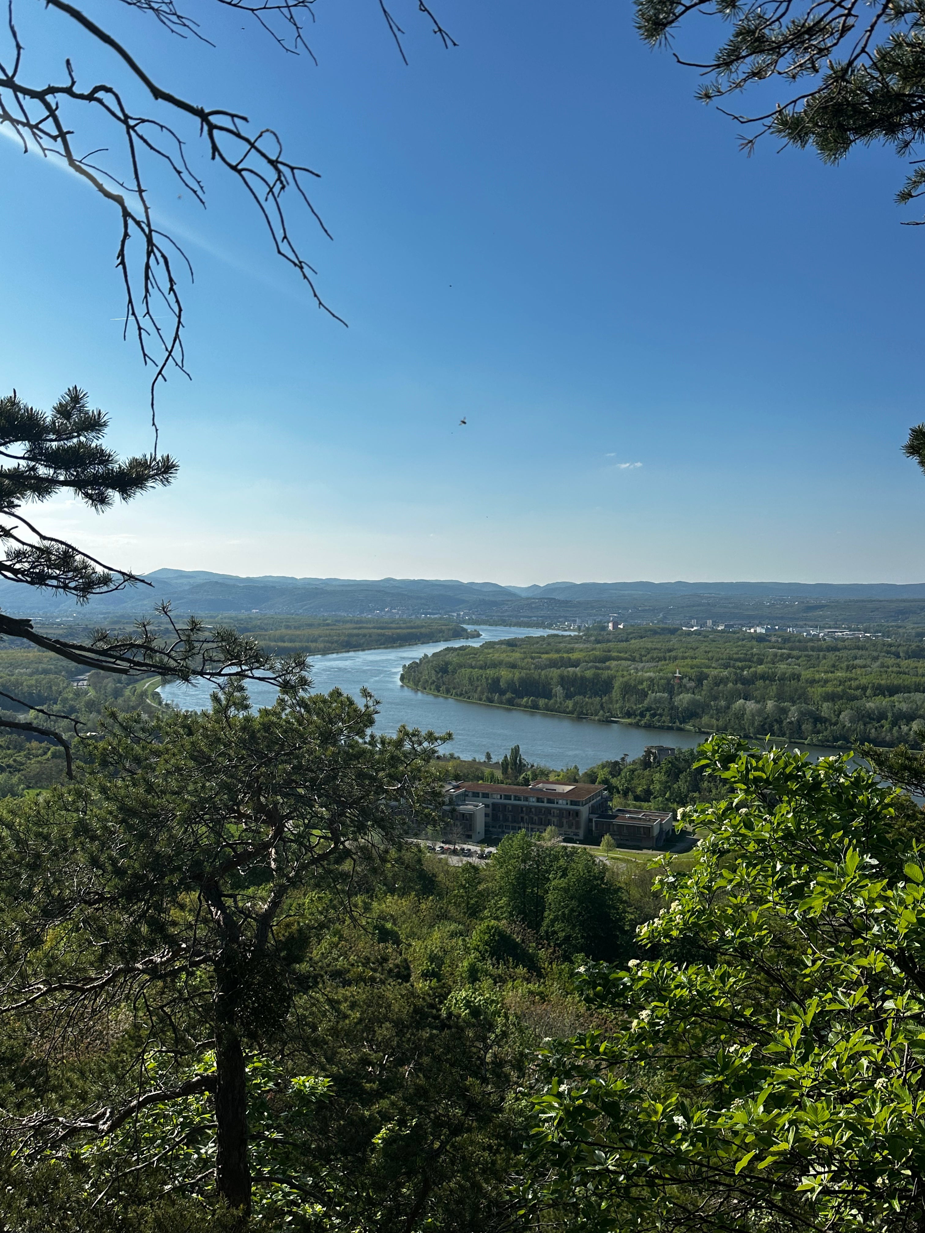 WHAT IS KREMSTAL? AUSTRIA'S MOST EXCITING WINE REGION