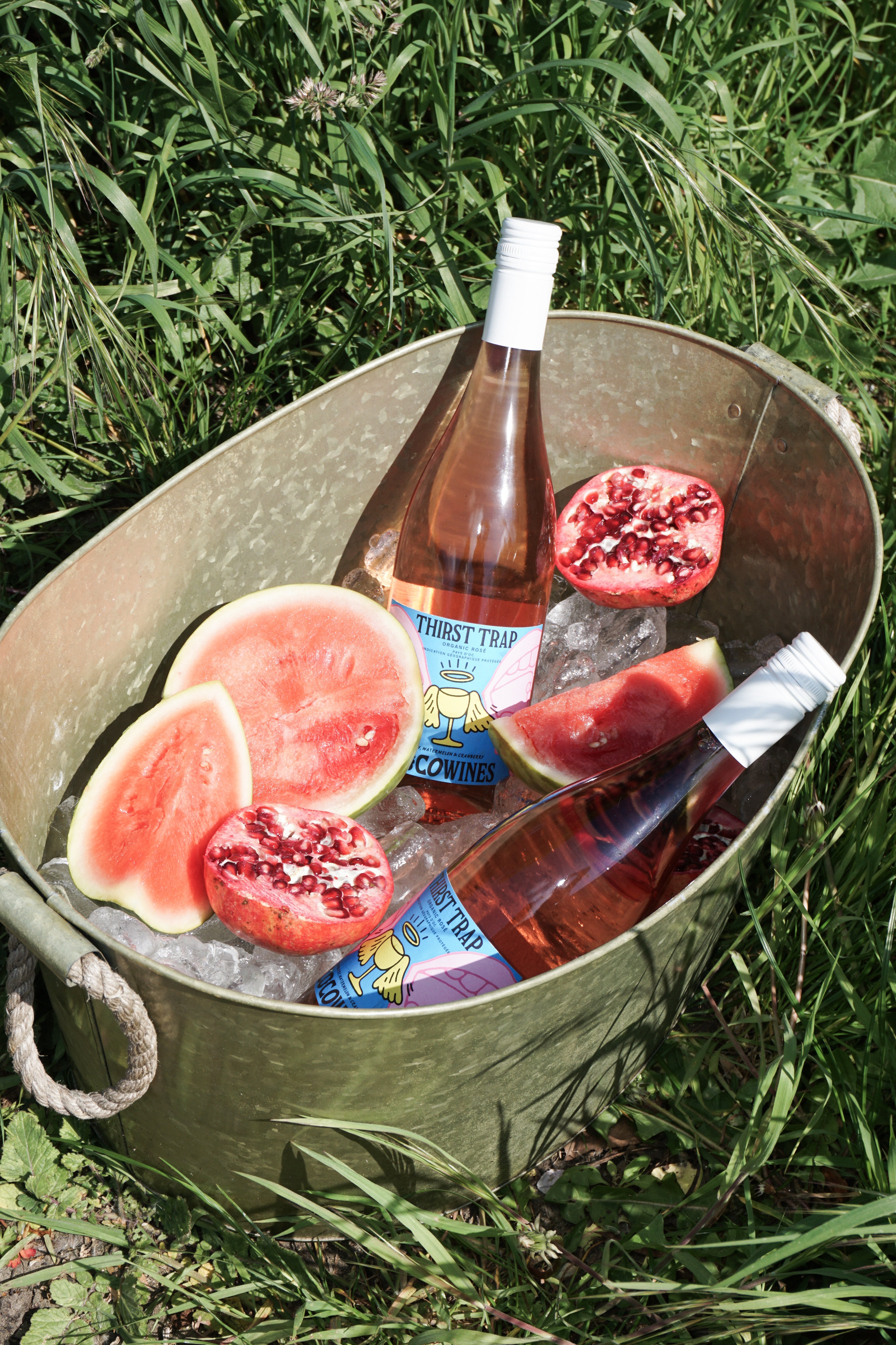 HOW IS ORGANIC WINE DIFFERENT FROM REGULAR WINE?