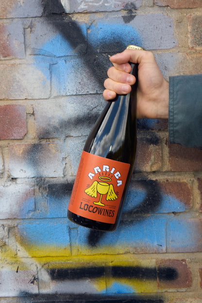 Arriba sparkling orange organic wine bottle held against graffiti brick wall by Loco Wines
