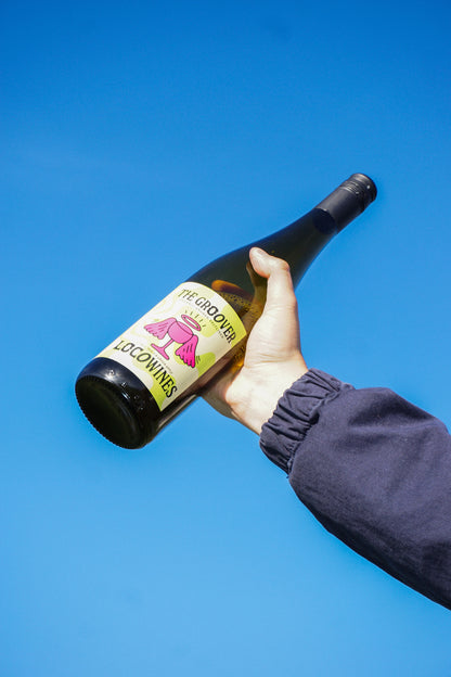 The Groover organic white wine bottle held up against a clear blue sky by Loco Wines